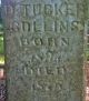 Drury Tucker Collins Grave